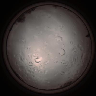 capture_202112061424_1827.Png