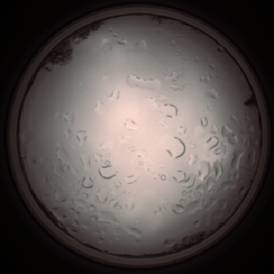 capture_202112061230_1713.Png