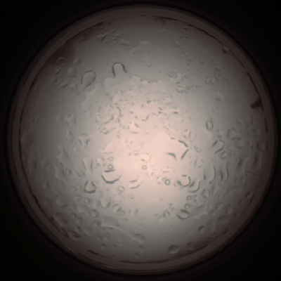 capture_202112061020_1583.Png