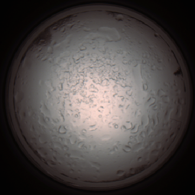 capture_202112060941_1544.Png