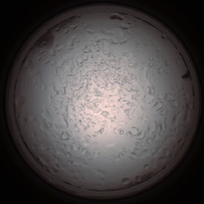capture_202112060913_1516.Png