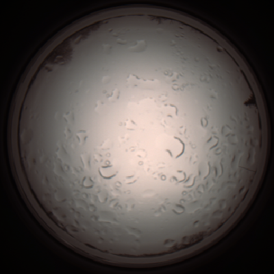 capture_202112061101_1624.Png