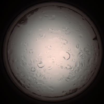 capture_202112061115_1638.Png