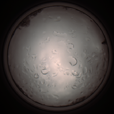 capture_202112061302_1745.Png