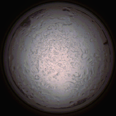 capture_202112060801_1444.Png
