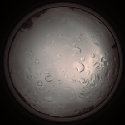 capture_202112061311_1754.Png