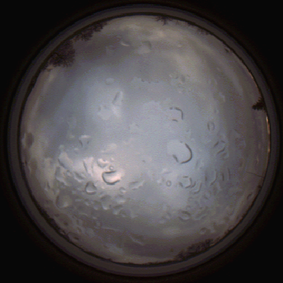 capture_202112061506_1869.Png