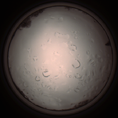 capture_202112061410_1813.Png