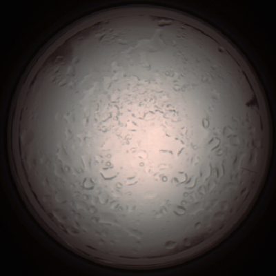 capture_202112061008_1571.Png