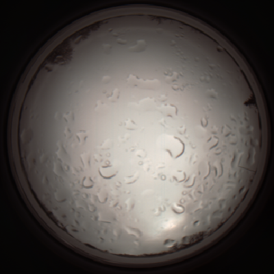 capture_202112061113_1636.Png