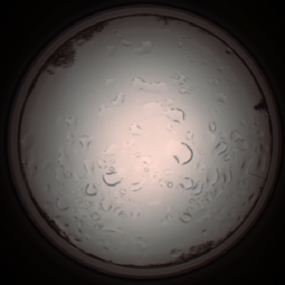 capture_202112061219_1702.Png