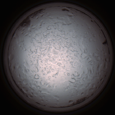 capture_202112060846_1489.Png