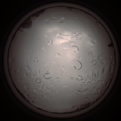 capture_202112061231_1714.Png
