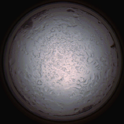 capture_202112060810_1453.Png