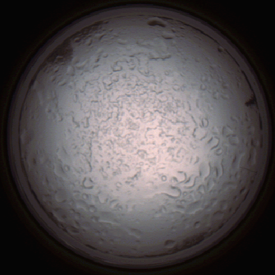 capture_202112060823_1466.Png