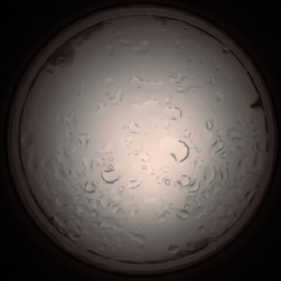 capture_202112061057_1620.Png