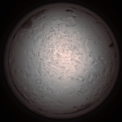 capture_202112060922_1525.Png
