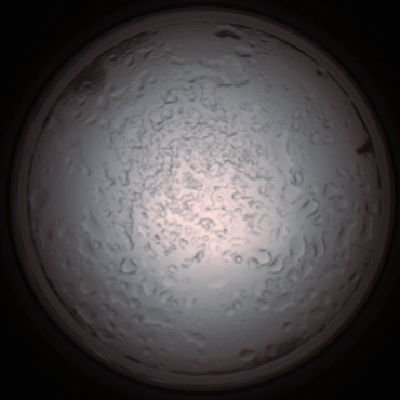 capture_202112060910_1513.Png