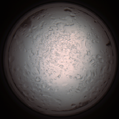 capture_202112060916_1519.Png