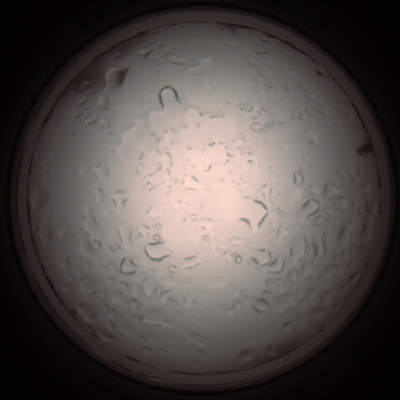 capture_202112061023_1586.Png