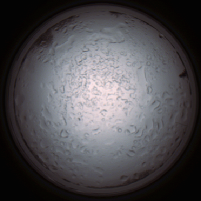 capture_202112060934_1537.Png