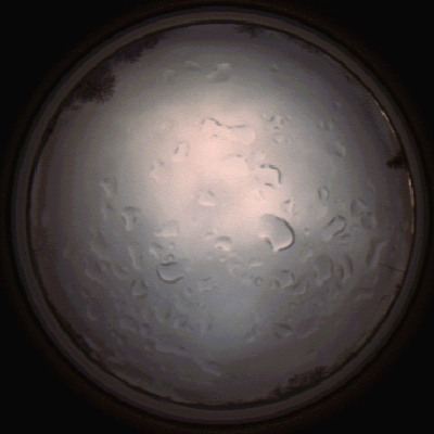 capture_202112061453_1856.Png