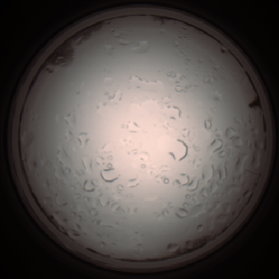 capture_202112061053_1616.Png