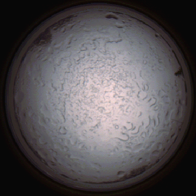 capture_202112060816_1459.Png