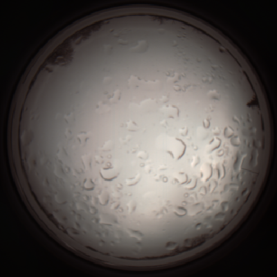 capture_202112061048_1611.Png