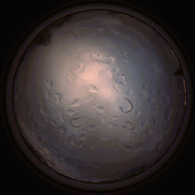 capture_202112061528_1891.Png