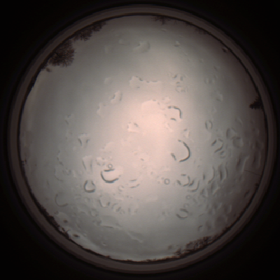 capture_202112061402_1805.Png