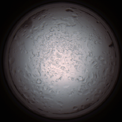 capture_202112060911_1514.Png