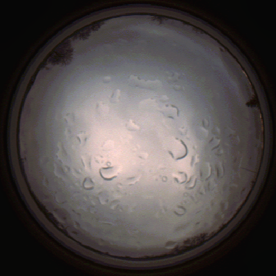 capture_202112061443_1846.Png