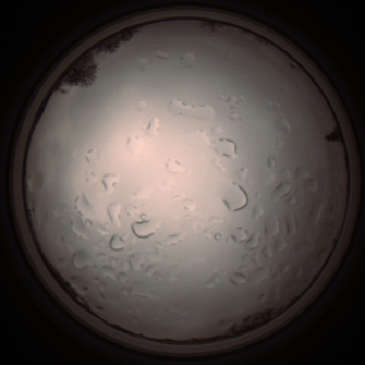 capture_202112061408_1811.Png