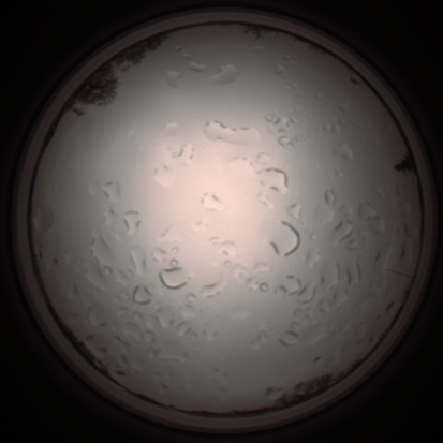 capture_202112061224_1707.Png