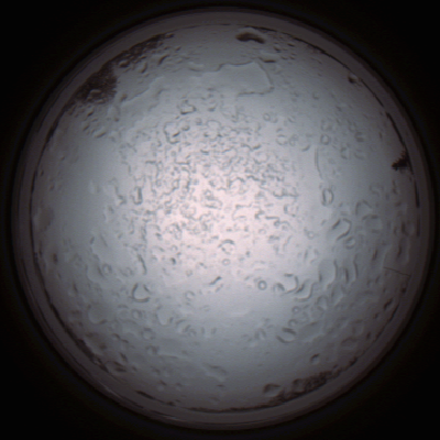 capture_202112060929_1532.Png