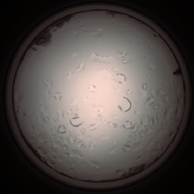 capture_202112061211_1694.Png
