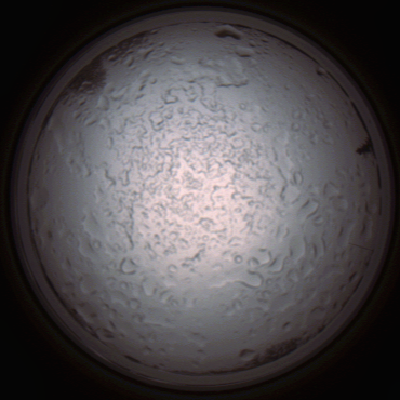 capture_202112060828_1471.Png