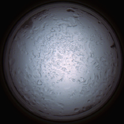 capture_202112060907_1510.Png