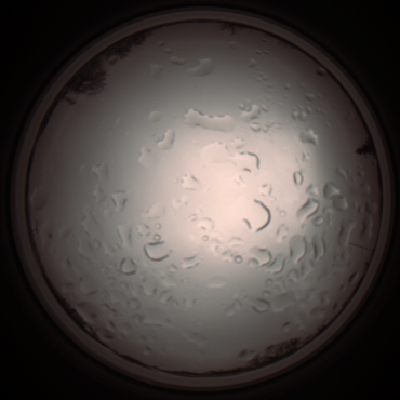 capture_202112061200_1683.Png