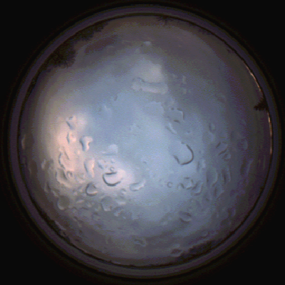 capture_202112061524_1887.Png
