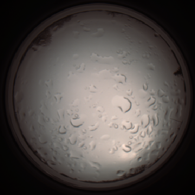 capture_202112061122_1645.Png