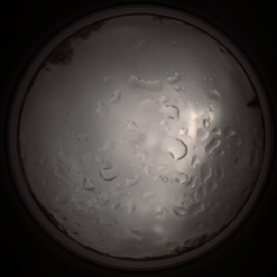 capture_202112061321_1764.Png