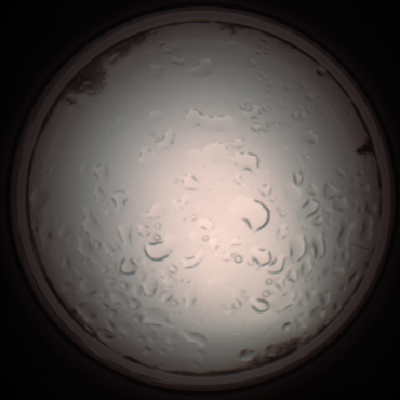 capture_202112061123_1646.Png
