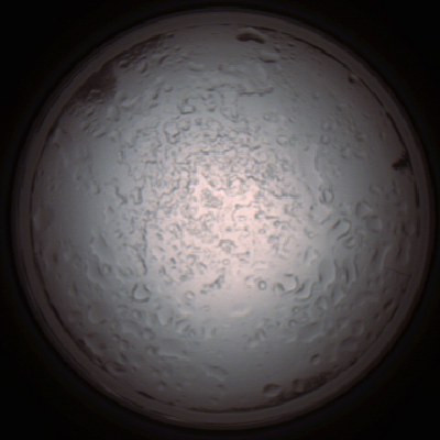 capture_202112060901_1504.Png