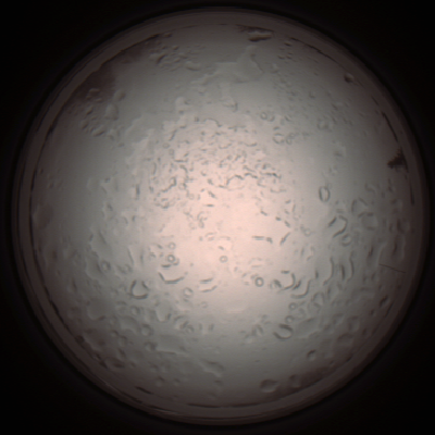 capture_202112061006_1569.Png