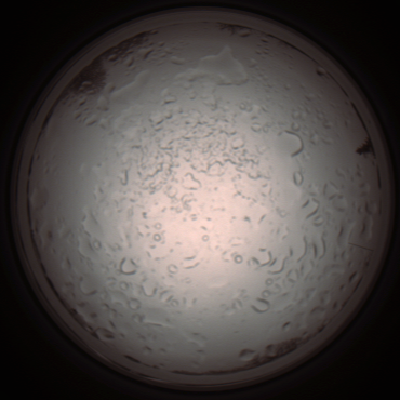 capture_202112060952_1555.Png