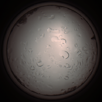 capture_202112061207_1690.Png