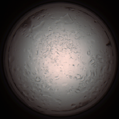 capture_202112060955_1558.Png