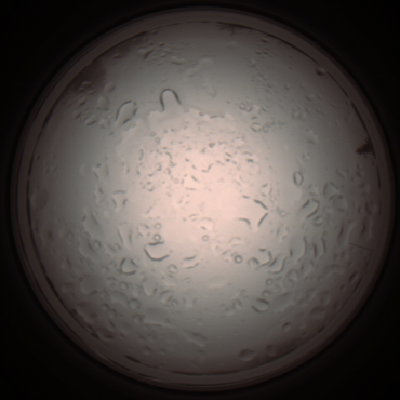 capture_202112061019_1582.Png